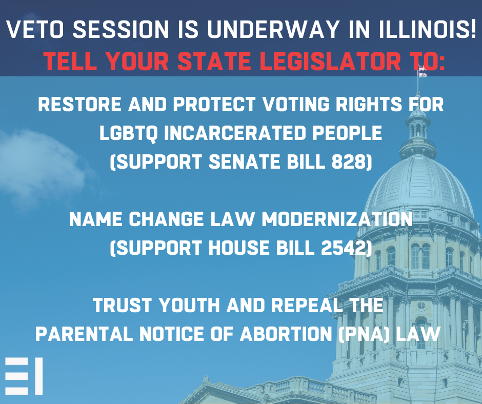 2021 Veto Session Equality Illinois